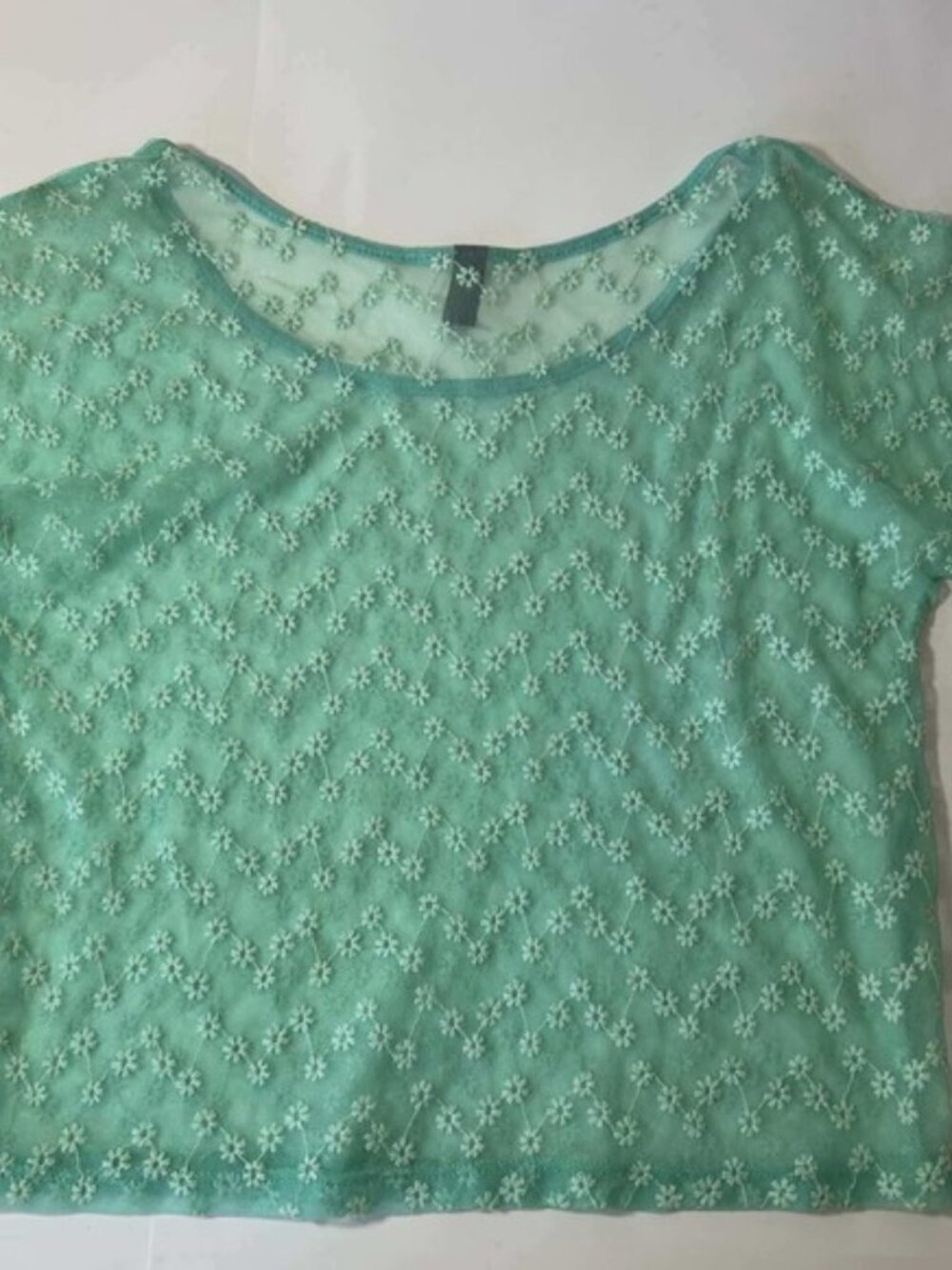 Mint Green Sheer Floral Mesh Embroidered Short‎ Sleeve Scoop Neck Top fairycore